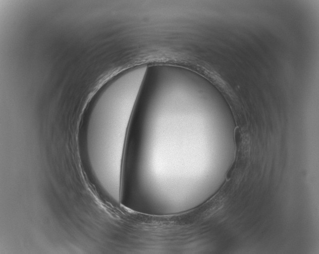 X0000081570626200701151026