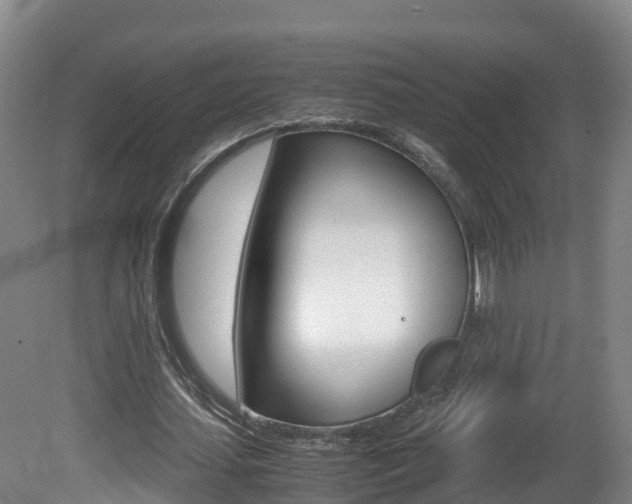 X0000081570627200701151026