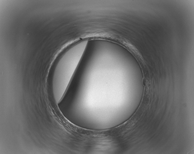 X0000081570628200701151026