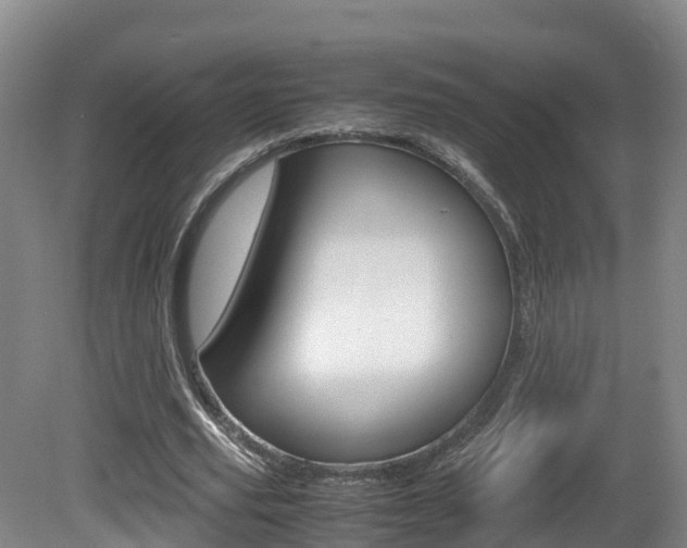 X0000081570629200701151026