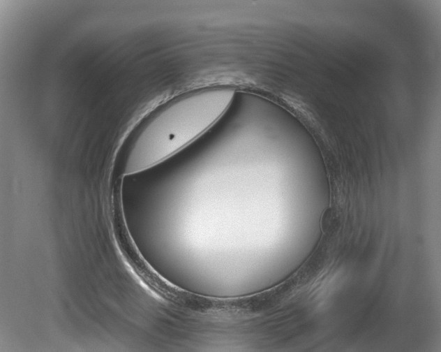 X0000081570630200701151026