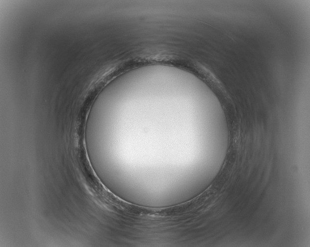X0000081570635200701151027