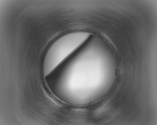 X0000081570637200701151027