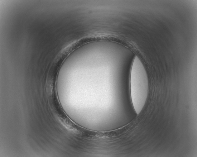 X0000081570640200701151027