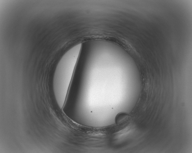X0000081570643200701151027