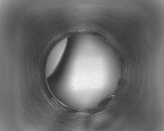 X0000081570644200701151027