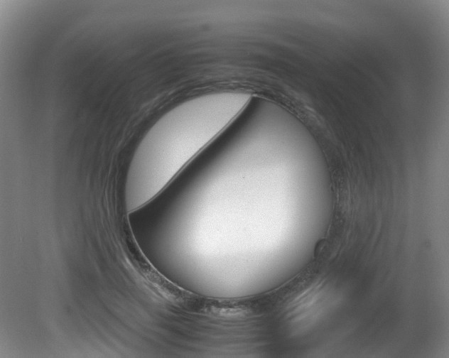 X0000081570645200701151027