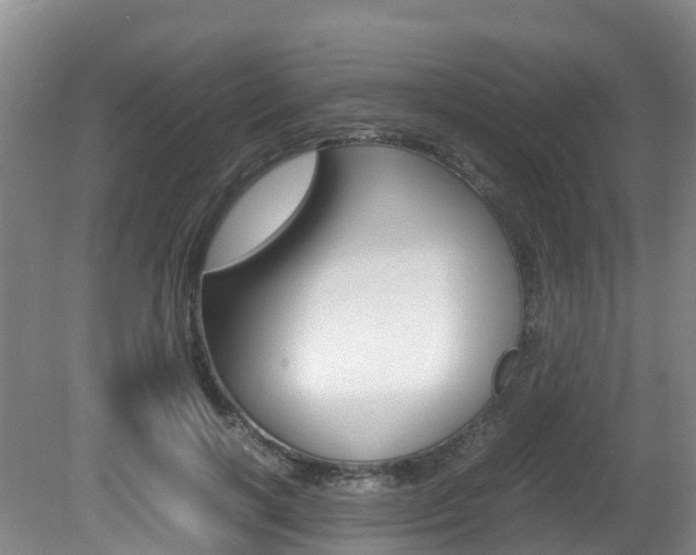 X0000081570646200701151027