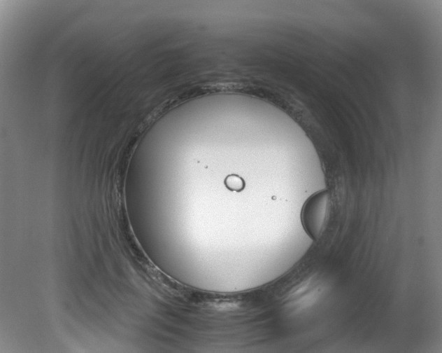X0000081570651200701151027