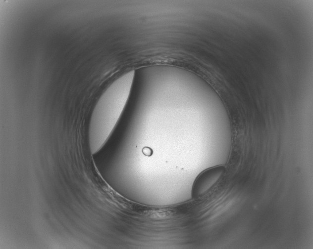 X0000081570652200701151027