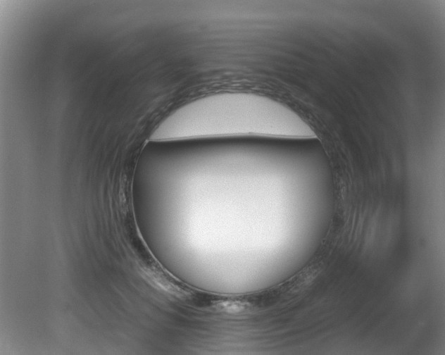 X0000081570654200701151027
