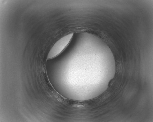 X0000081570655200701151027