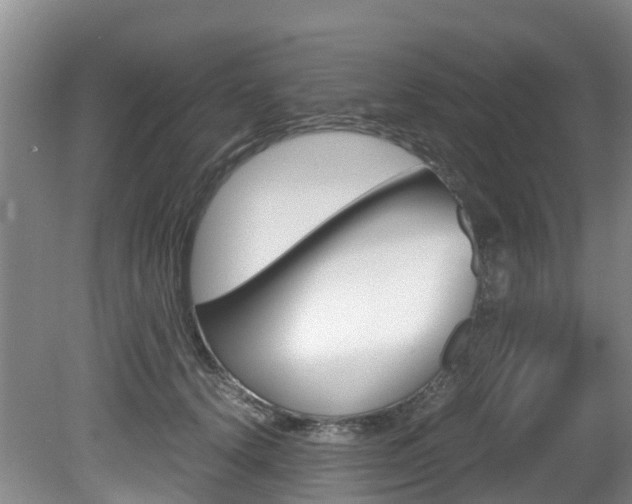 X0000081570656200701151027