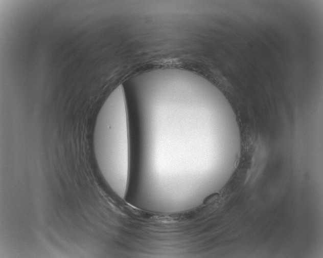 X0000081570658200701151027