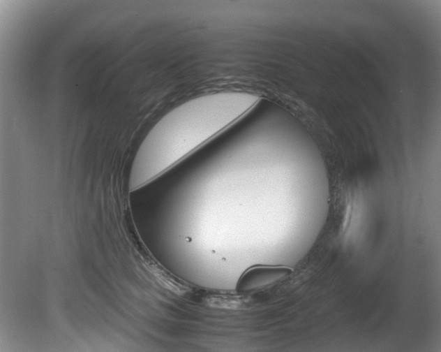 X0000081570661200701151027