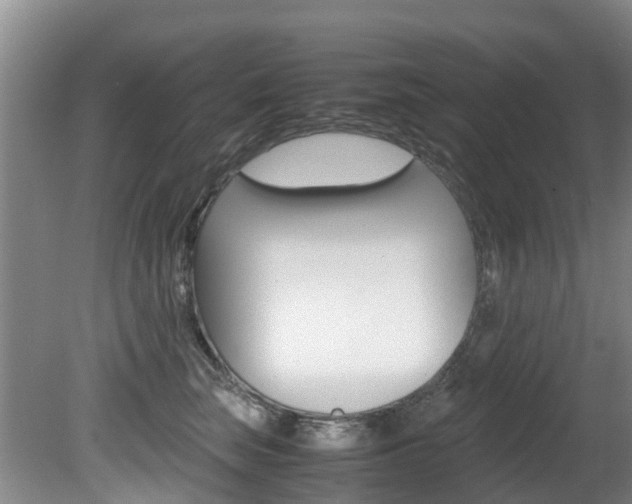 X0000081570663200701151027