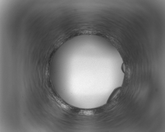 X0000081570665200701151027