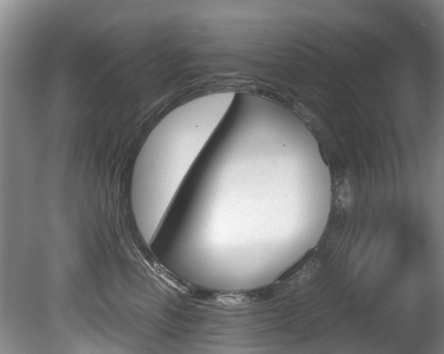 X0000081570666200701151027