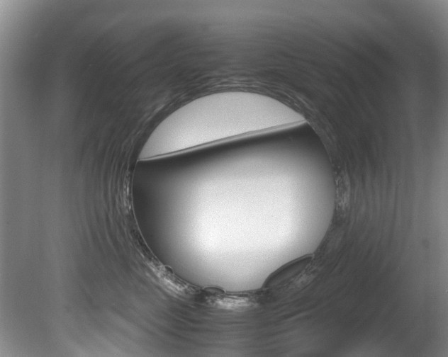 X0000081570669200701151027