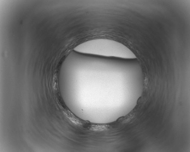 X0000081570671200701151027
