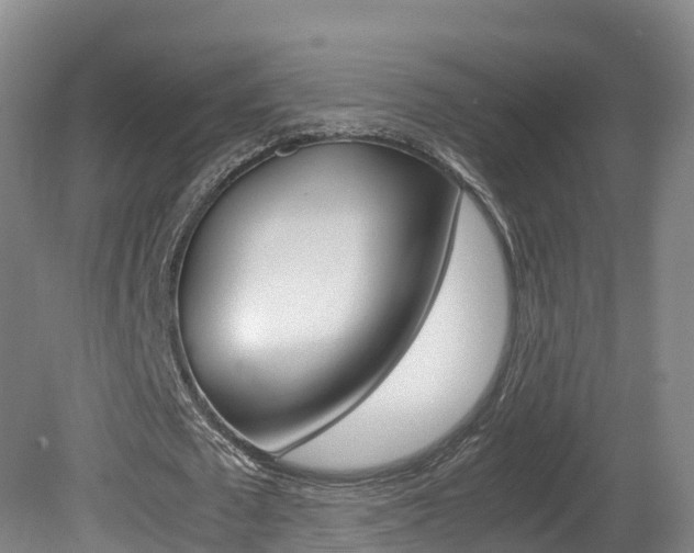 X0000081570673200701151026