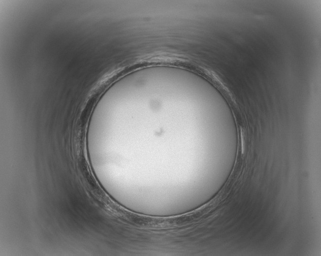 X0000081570675200701151026