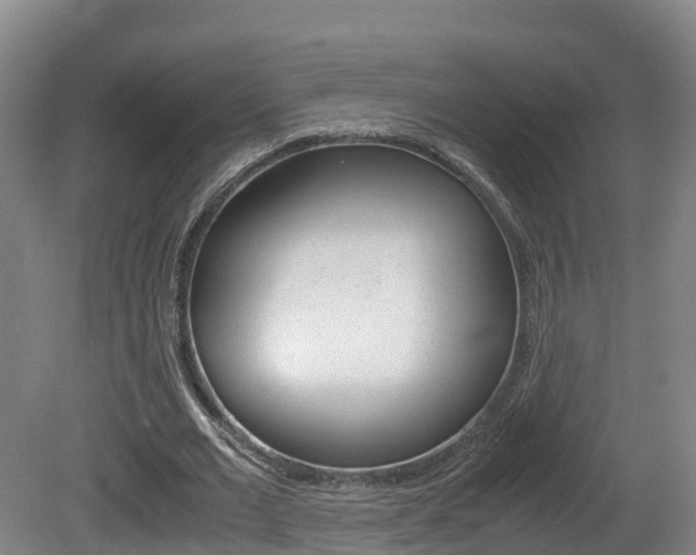 X0000081570677200701151026