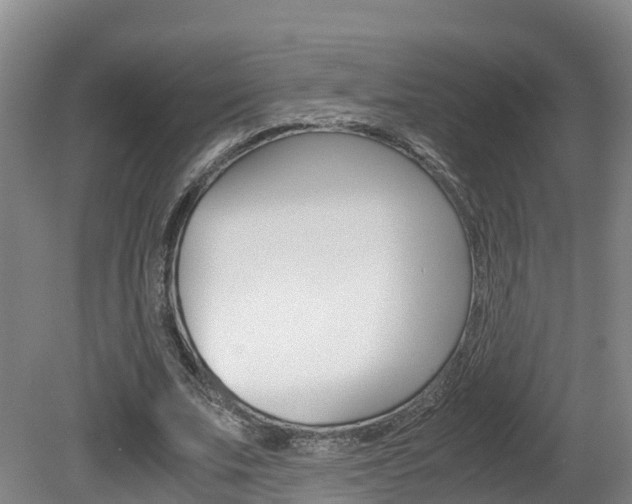 X0000081570679200701151026