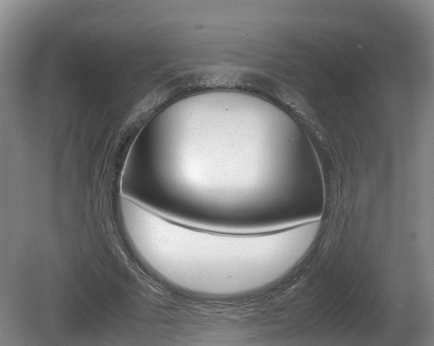 X0000081570681200701151026
