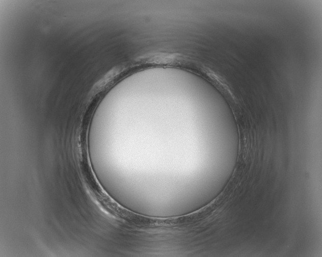 X0000081570682200701151026
