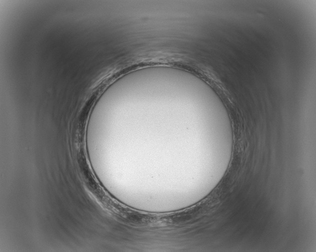 X0000081570683200701151026