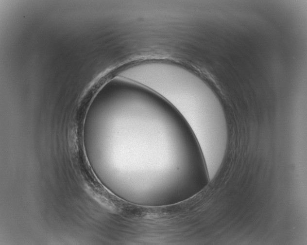 X0000081570684200701151026