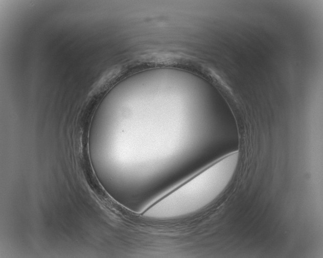 X0000081570685200701151026