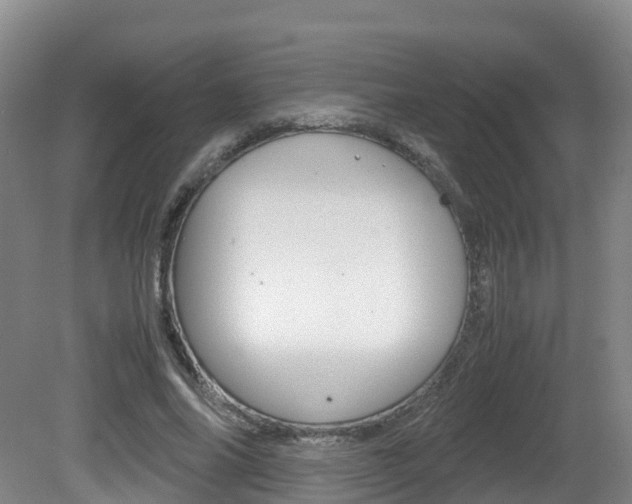 X0000081570686200701151026