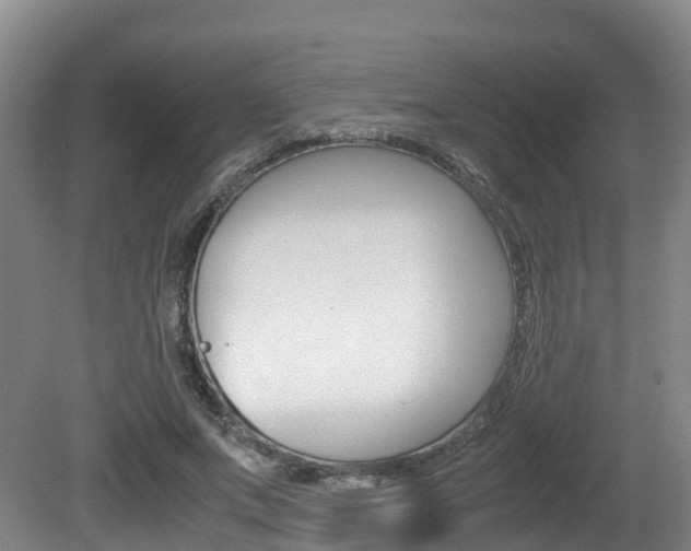 X0000081570687200701151026