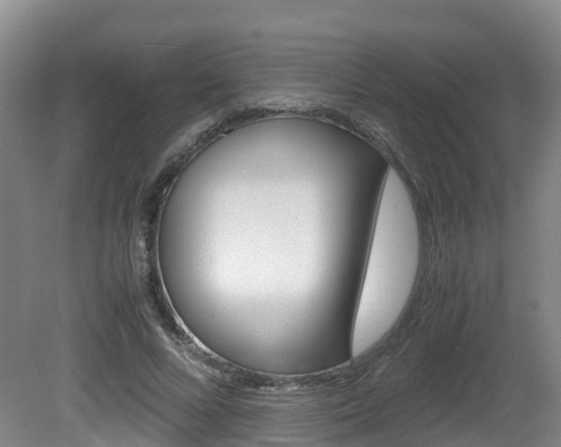 X0000081570688200701151026
