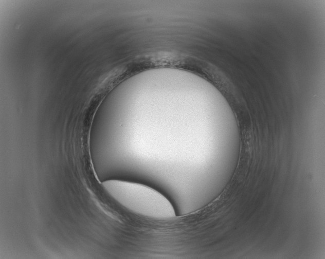 X0000081570690200701151026