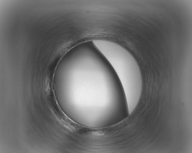 X0000081570692200701151026