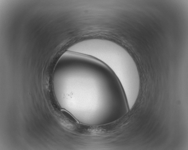 X0000081570693200701151026
