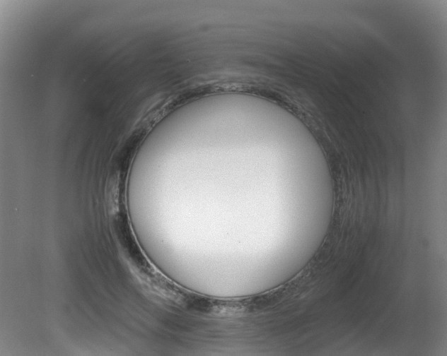X0000081570694200701151026