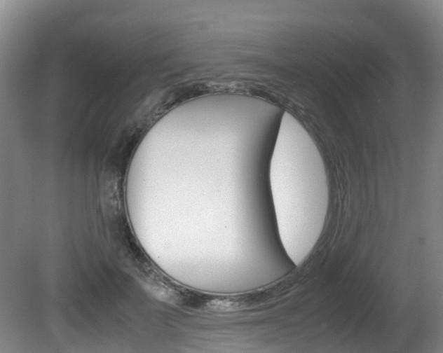 X0000081570699200701151026