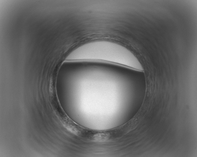 X0000081570700200701151026