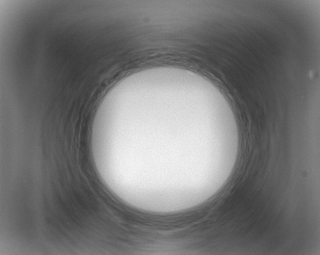 X0000081570701200701151026