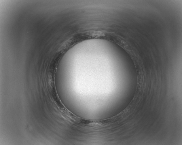X0000081570704200701151026