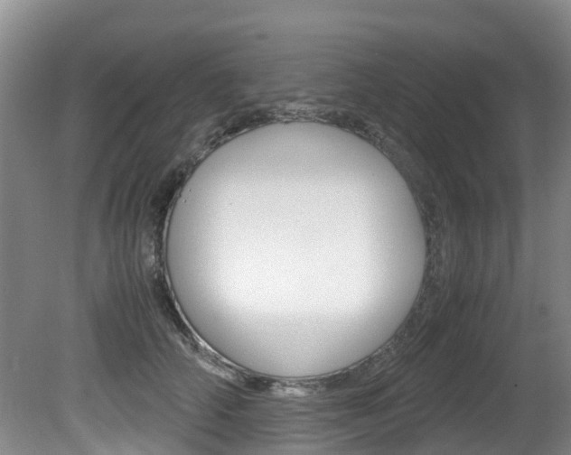 X0000081570706200701151026