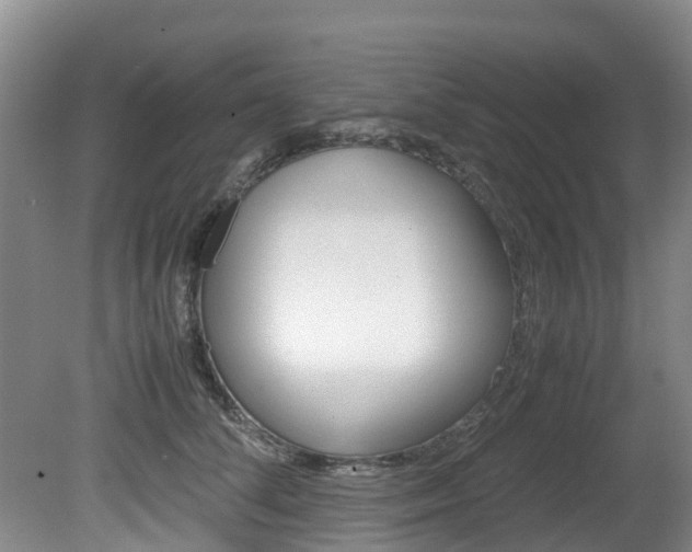 X0000081570708200701151026