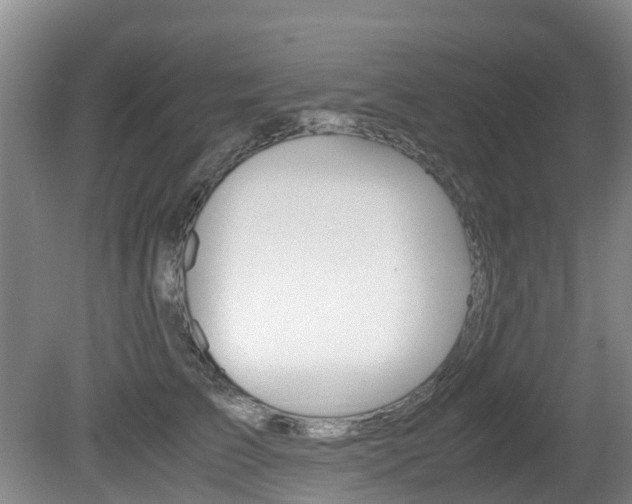 X0000081570709200701151026
