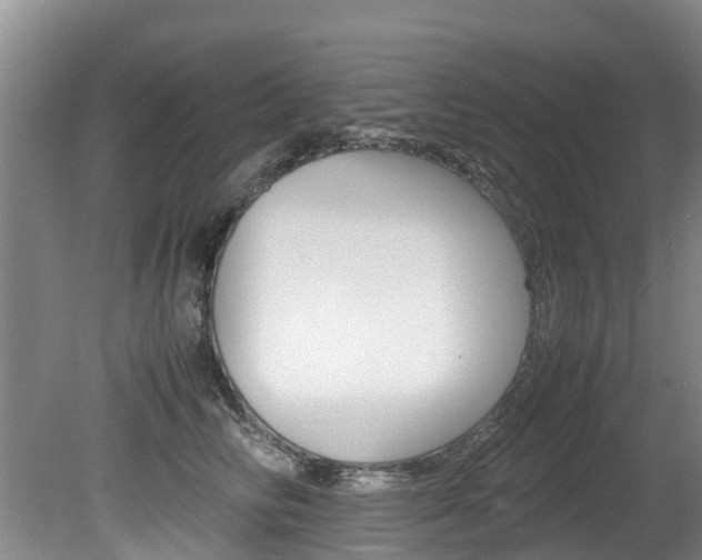 X0000081570710200701151026
