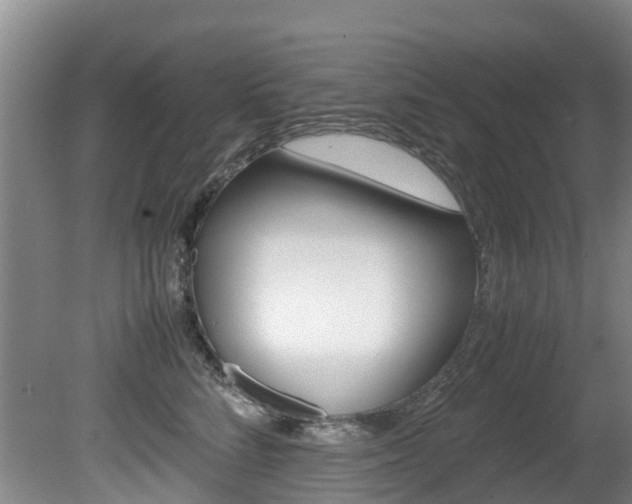 X0000081570712200701151026