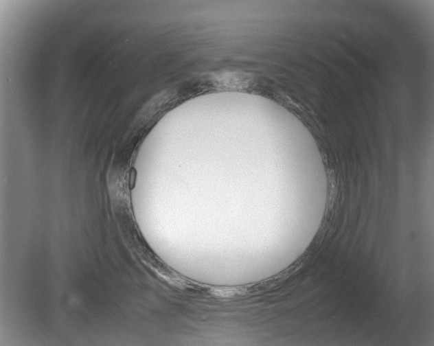 X0000081570713200701151026